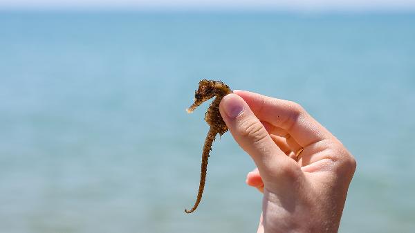 寒性體質(zhì)怎么調(diào)理 三個調(diào)理讓身體慢慢暖起來