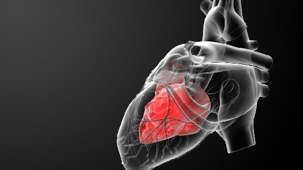 病毒性心肌炎的死亡率是多少