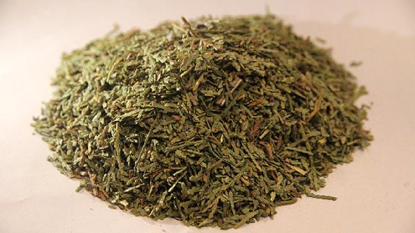侧柏叶洗头的害处有哪些