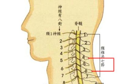 摇头颈椎有沙沙响声