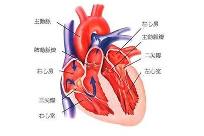 心血管造影检查什么