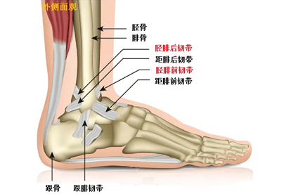 腳骨折愈合后走路腳板痛