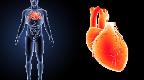 心絞痛和心肌梗死疼痛的區(qū)別是什么