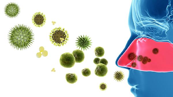 柯薩奇病毒和腺病毒區(qū)別