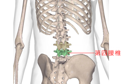 得了腰椎间盘突出症需要注意些什么