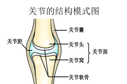 嘴关节响怎么回事