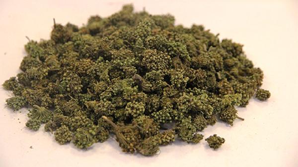 二维三七桂利嗪胶囊的副作用有哪些