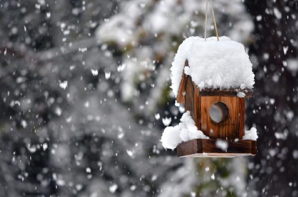 雪山胃寶丸能修復胃黏膜嗎