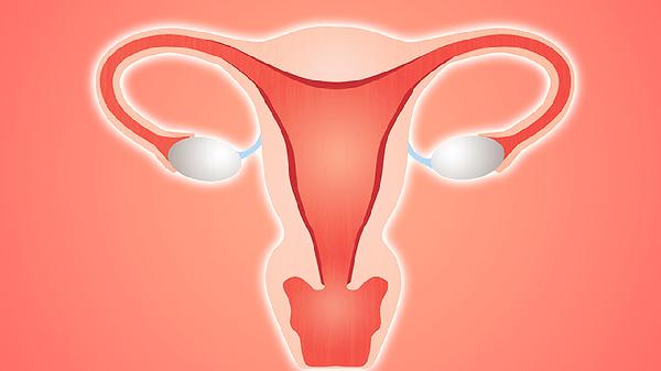 女人得了子宫颈炎的症状