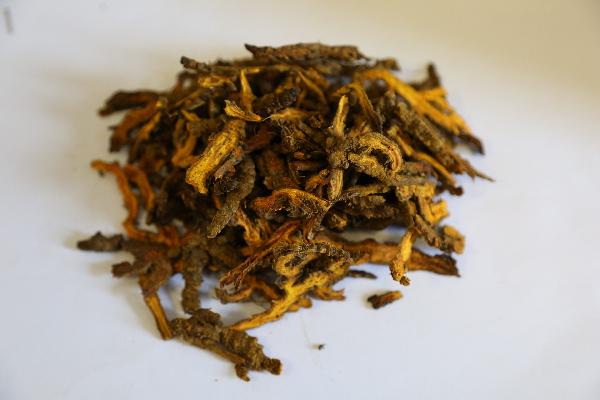中药治疗脊柱炎方剂