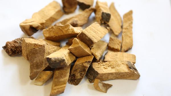 中藥治療肝纖維化藥物