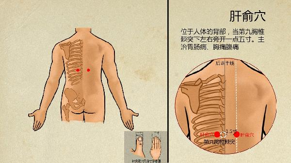 反流性食管炎中医怎样治疗呢