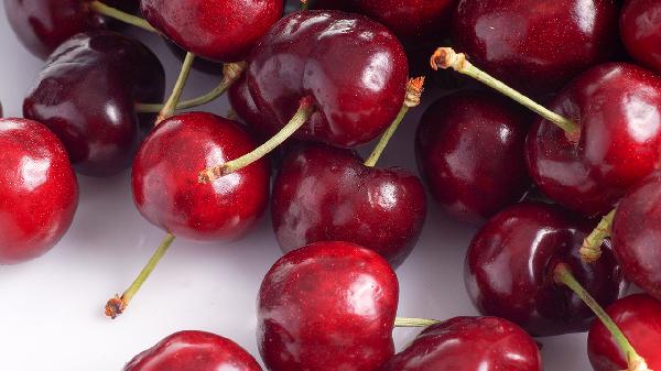 含雌性激素多的10種食物?