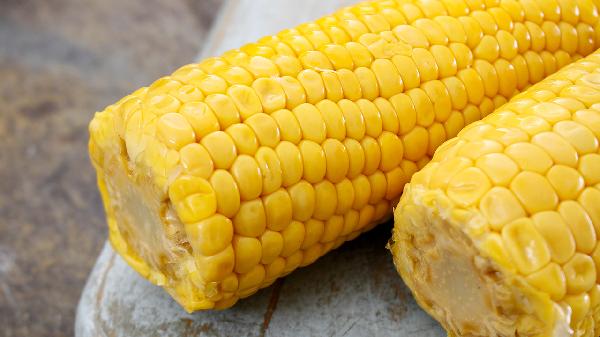 胃病不能吃玉米？医生提醒：除玉米外，这两种“谷物”尽量少吃