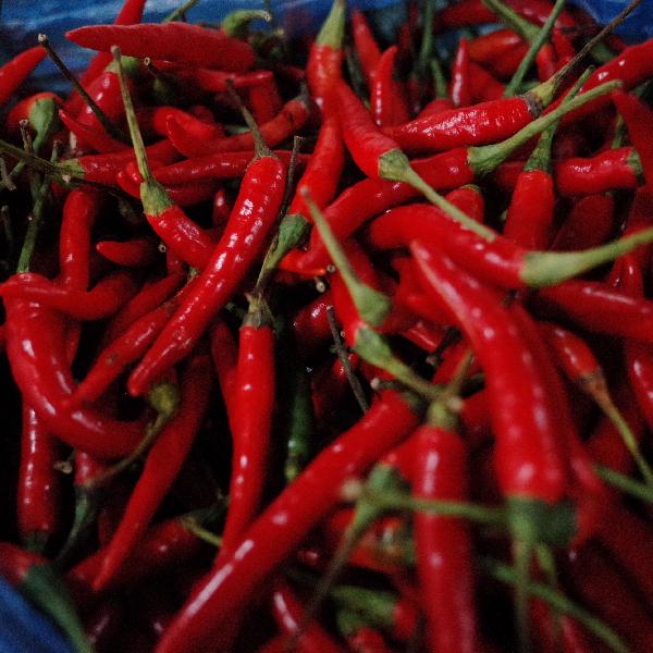 辣椒用水煮一下有什么作用