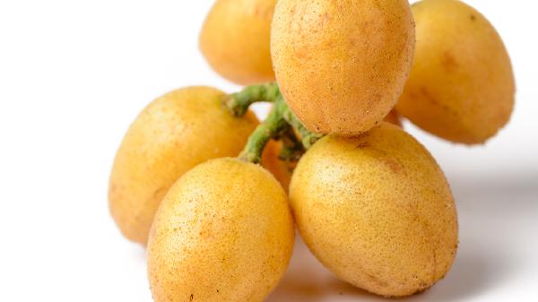 黄皮主治哪种疾病