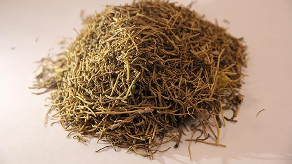 细辛的功效与作用及禁忌是什么