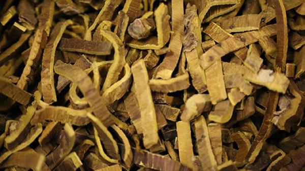 知母黄柏功效与作用是什么