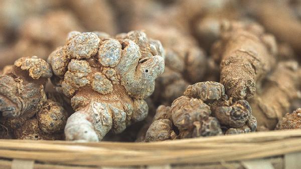 新鲜三七叶子的功效与作用