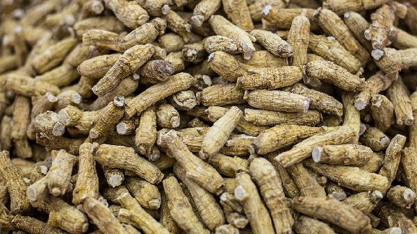 西洋参玉灵膏的功效与作用