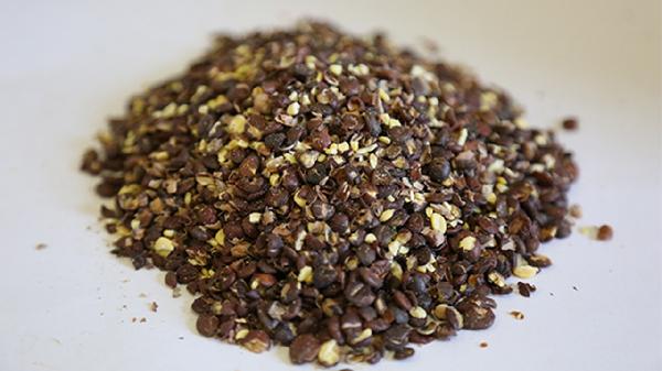 炒酸棗仁的功效與作用有哪些