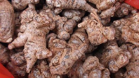 藤三七的功效與作用有哪些