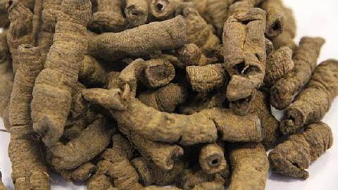 制巴戟天功效與作用是什么