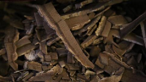 中藥材金銀花的功效有哪些