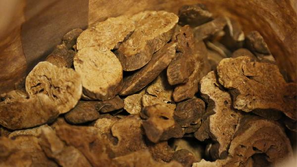 麸炒白术的功效和副作用禁忌