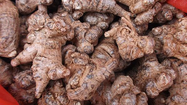 三七參的功效與作用是什么