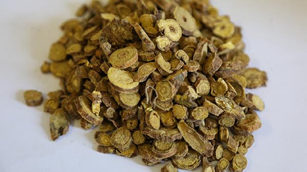 酒黃芩的功效與作用的功能