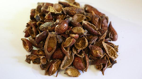 金櫻子泡酒有什么功效作用