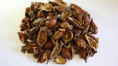 金樱子泡酒有什么功效作用