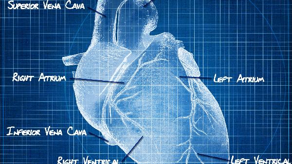 鈴蘭的效果有哪些