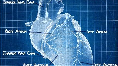 鈴蘭的效果有哪些