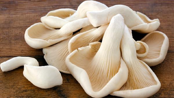怎么判断野生蘑菇是否有毒