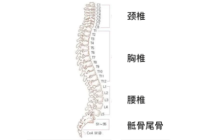 脊椎穿刺要檢查什么