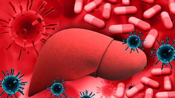 肝炎病毒的类型