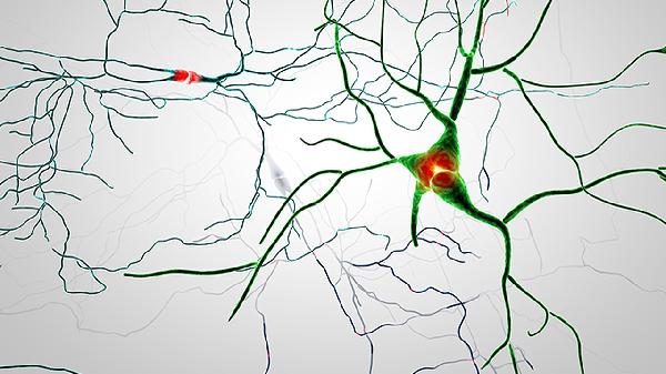 視神經(jīng)萎縮的原因是什么？