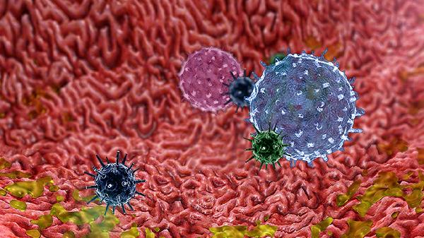 尿沉渣細(xì)菌偏高怎么辦