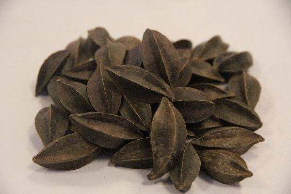 盆腔包块吃中药能消吗