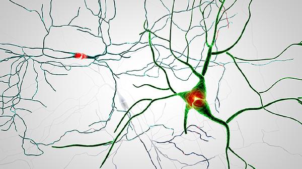 神經(jīng)疼一般是什么引起的癥狀