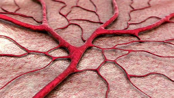 血友病在飲食中的注意事項(xiàng)