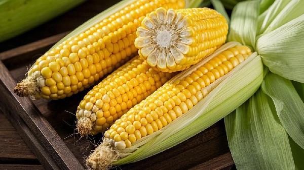 玉米煮多久會熟透玉米怎么煮更好吃