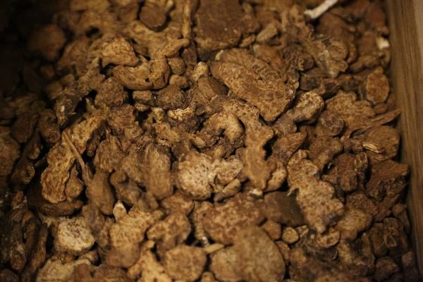 中醫告訴我你是哪種血虛