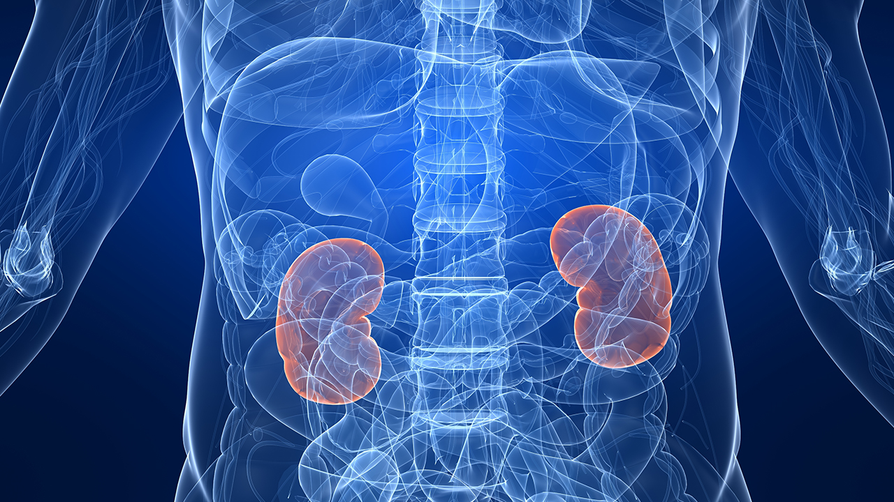 膜性肾病20年没有复发原因