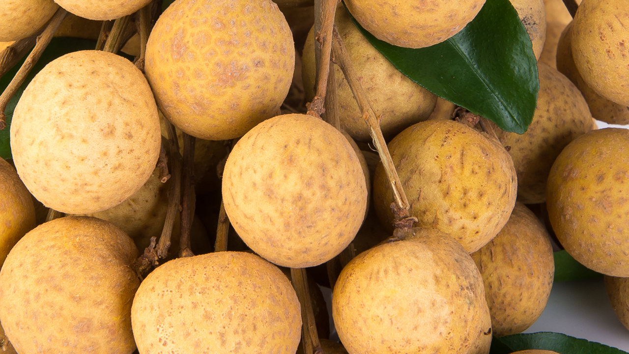 桂圆的功效与作用禁忌有什么