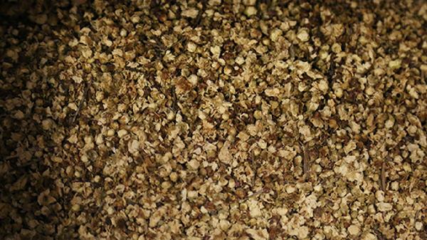 尿酸570中藥可以降嗎