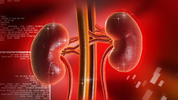 金匱腎氣丸一般多久見(jiàn)效