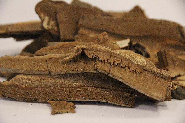 中藥防蟲(chóng)防霉有什么方法